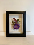 Load image into Gallery viewer, Minis