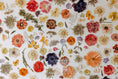 Load image into Gallery viewer, Pattern of pressed flowers and herbs on a white background
