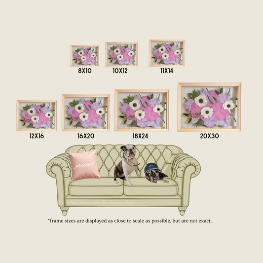 Illustration of a beige sofa with two dogs and floral picture frames of various sizes on a wall.
