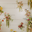Petal Collective logo
