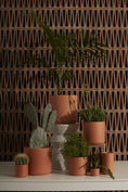 Load image into Gallery viewer, Potted Plants
