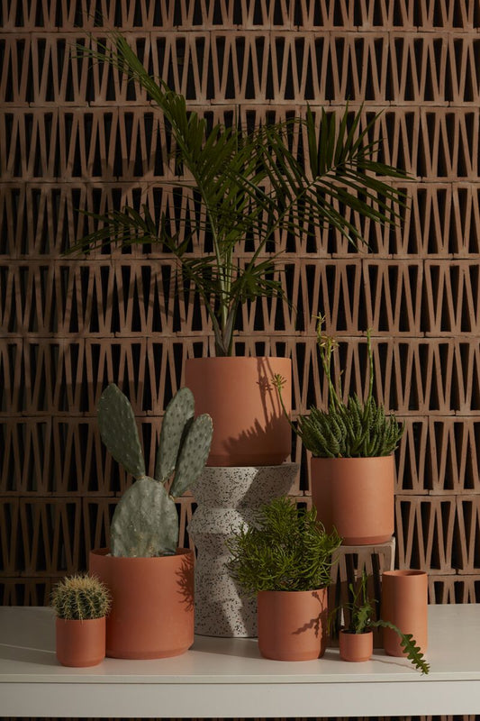 Potted Plants